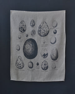 Tea towel - Bird Eggs