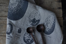 Load image into Gallery viewer, Tea towel - Bird Eggs