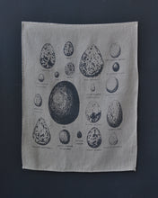 Load image into Gallery viewer, Tea towel - Bird Eggs